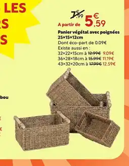Maxi Bazar Panier végétal avec poignées offre