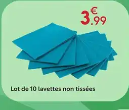 Maxi Bazar Lot de 10 lavettes non tissées offre