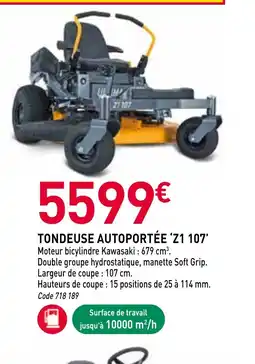 RAGT Jardin & Maison Tondeuse autoportée z1 107 offre