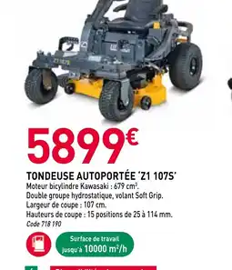 RAGT Jardin & Maison Tondeuse autoportée z1 107s offre