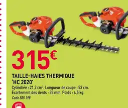 RAGT Jardin & Maison Taille-haies thermique hc 2020 offre