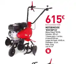 RAGT Jardin & Maison Motobineuse eco 55p c2 offre