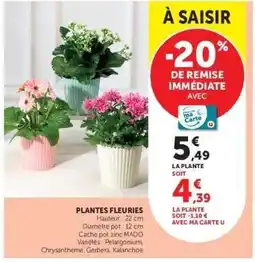 Super U Plantes Fleuries offre