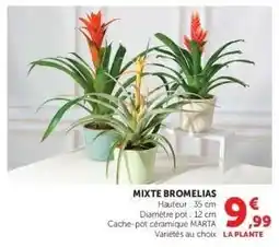 Super U MIXTE BROMELIAS offre