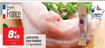 Netto Lapin entier sous fourreau offre