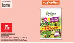 Netto Les crudettes maxi mélange gourmand offre