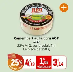 Coccinelle Supermarché Camembert au lait cru aop reo offre