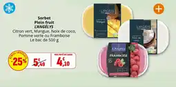 Coccinelle Supermarché Sorbet plein fruit l'angélys offre