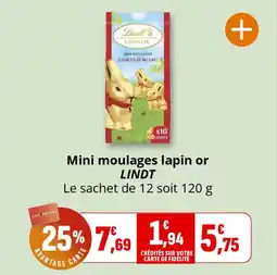 Coccinelle Supermarché Mini moulages lapin or lindt offre