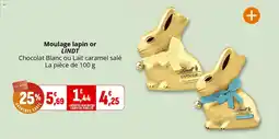 Coccinelle Supermarché Moulage lapin or lindt offre