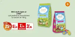 Coccinelle Supermarché Mini œufs lapin or lindt offre