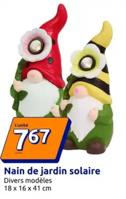 Action Nain de jardin solaire offre