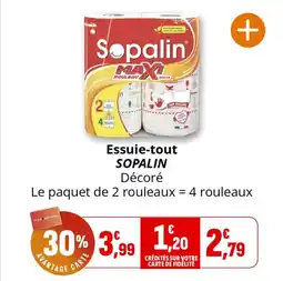 Coccinelle Supermarché Essuie-tout sopalin offre