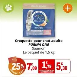 Coccinelle Supermarché Croquette pour chat adulte purina one offre