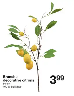 Zeeman Branche décorative citrons offre