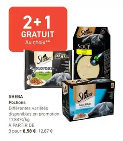 Tom&Co Sheba pochons offre