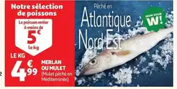 Auchan Merlan ou mulet offre
