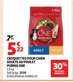 Auchan PURINA ONE Croquettes pour chien offre
