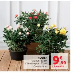 U Express Rosier offre