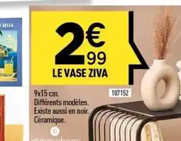 Centrakor Le vase ziva offre