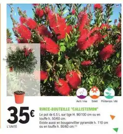 E.Leclerc RINCE-BOUTEILLE 'CALLISTEMON' offre