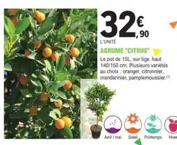 E.Leclerc AGRUME CITRUS offre
