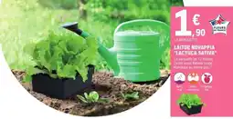 E.Leclerc LAITUE NOVAPPIA 'LACTUCA SATIVA' offre