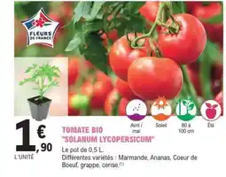 E.Leclerc TOMATE BIO 'SOLANUM LYCOPERSICUM' offre