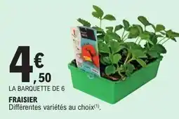 E.Leclerc Fraisier offre