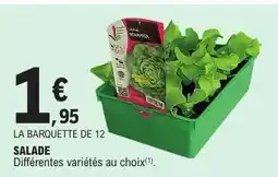 E.Leclerc Salade offre