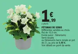 E.Leclerc PÉTUNIAS DE SEMIS offre