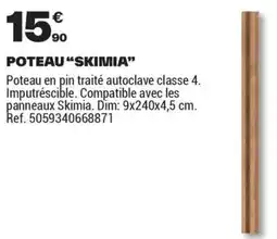 Brico Dépôt POTEAU SKIMIA offre