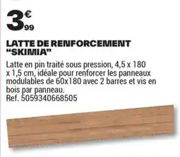 Brico Dépôt LATTE DE RENFORCEMENT SKIMIA offre