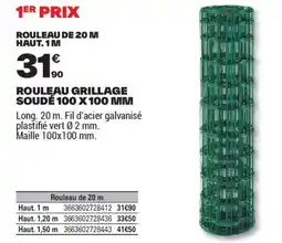 Brico Dépôt ROULEAU GRILLAGE SOUDÉ 100 X 100 MM offre