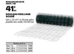 Brico Dépôt ROULEAU GRILLAGE SOUDÉ offre