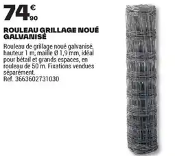 Brico Dépôt ROULEAU GRILLAGE NOUÉ GALVANISÉ offre