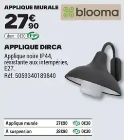 Brico Dépôt APPLIQUE DIRCA offre