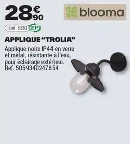 Brico Dépôt APPLIQUE TROLIA offre