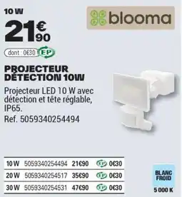 Brico Dépôt PROJECTEUR DÉTECTION 10W offre
