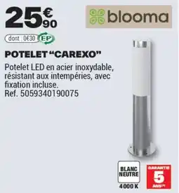 Brico Dépôt POTELET CAREXO offre