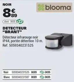 Brico Dépôt DETECTEUR BRANT offre