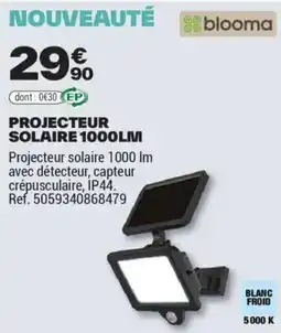Brico Dépôt PROJECTEUR SOLAIRE 1000LM offre