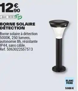 Brico Dépôt BORNE SOLAIRE DÉTECTION offre