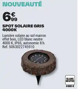 Brico Dépôt SPOT SOLAIRE GRIS 4000K offre