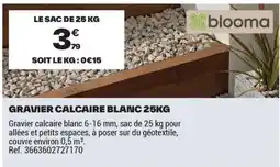 Brico Dépôt GRAVIER CALCAIRE BLANC offre