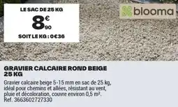 Brico Dépôt GRAVIER CALCAIRE ROND BEIGE offre