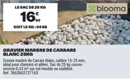 Brico Dépôt GRAVIER MARBRE DE CARRARE BLANC offre