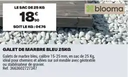 Brico Dépôt GALET DE MARBRE BLEU offre