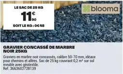 Brico Dépôt GRAVIER CONCASSÉ DE MARBRE NOIR offre