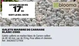 Brico Dépôt GALETS MARBRE DE CARRARE BLANC offre